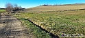 20230110_145602 - Dalla terra... il grano